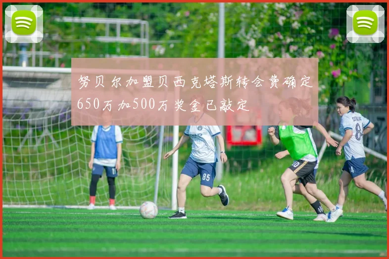 努贝尔加盟贝西克塔斯转会费确定650万加500万奖金已敲定