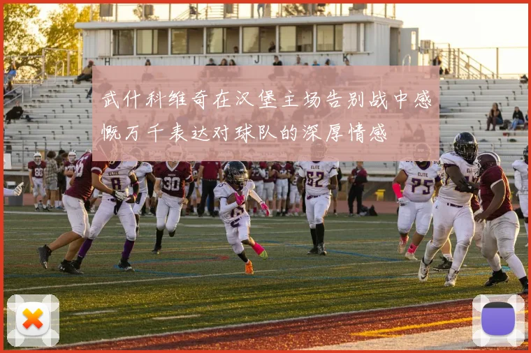 武什科维奇在汉堡主场告别战中感慨万千表达对球队的深厚情感
