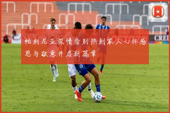 帕利尼亚深情告别热刺家人心怀感恩与敬意开启新篇章